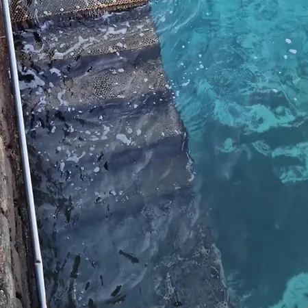 Piso Nuevo En El Al Lado Del Mar Realizamos Servicio De Excursiones Con Guia *